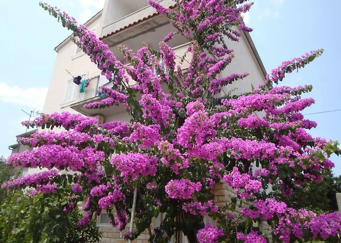 Gojko Appartement Sali