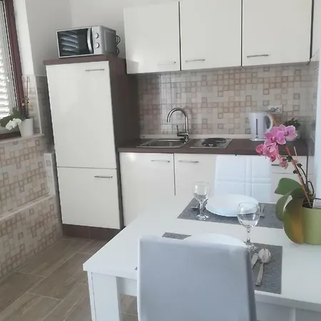 Apartment Gojko Sali
