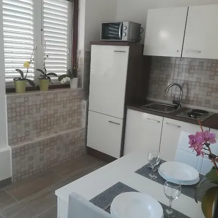 Gojko Apartment Sali